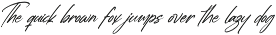 Estone Dreamwell Elegant Script Font preview