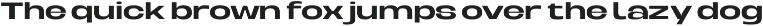 Berier – Grotesque Extended Typeface preview