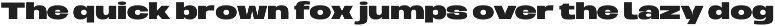 Berier – Grotesque Extended Typeface preview