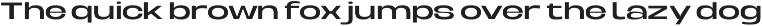 Berier – Grotesque Extended Typeface preview