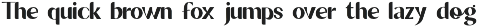 Weralionis - High Contrast Sans preview