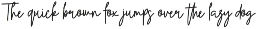 Sunshine | Natural Signature Script preview
