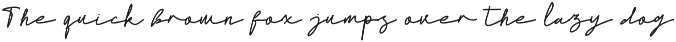 Worthy Monoline Signature Font preview