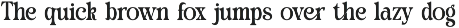 Rumie Denim Elegant Serif Font preview