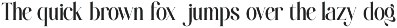 Aielenea - Elegant Luxury Serif Font preview