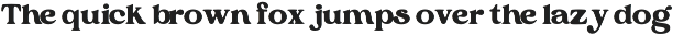 Camheon - Bold Display Serif Font preview