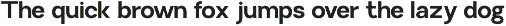 Sentino – A Clean Minimalist Sans preview