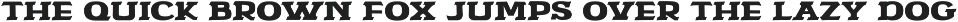 SAMPLE FONT COLLECTION VOL. 1 preview