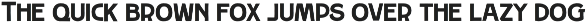 SAMPLE FONT COLLECTION VOL. 1 preview