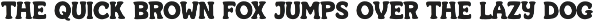 SAMPLE FONT COLLECTION VOL. 1 preview