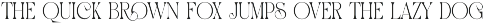 Soraya Elegant Display Serif Font preview