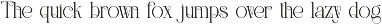 Reichi || Modern Classy Serif Font preview