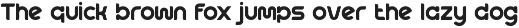 Mequin || Modern Display Sans Serif preview