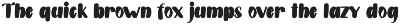 Staytion preview