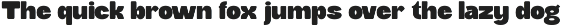 Buchi Sans – Bold & Playful Display preview