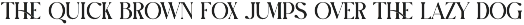 Boxer Elegant Display Serif Font preview