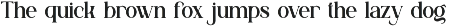 Chesko || Modern Classy Serif Font preview