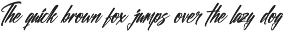 Hidden Chills Bold Brush Font preview
