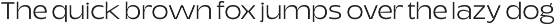 Migno - Family Display Sans Serif preview