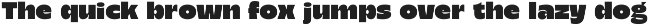 Migno - Family Display Sans Serif preview