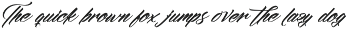 Amigdal Bold Calligraphy Font preview