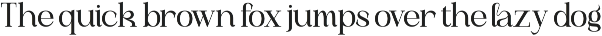 Remindia - Modern Serif Font preview