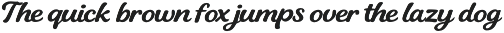 Raylin is a bold handwritten script preview