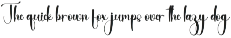 Zavier Signature preview
