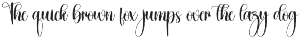 Butterflyies | Script Font preview