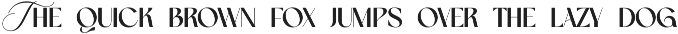 Remixo — Hybrid Sans Script preview