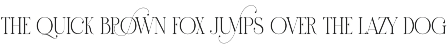 Brown Elegant Serif Display Font preview