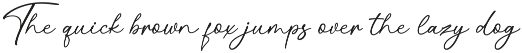 Ningetan Handwritten Font preview