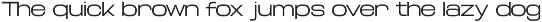 TRT Fluke Expanded Modern Sans Serif preview