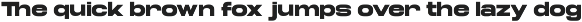 TRT Fluke Expanded Modern Sans Serif preview