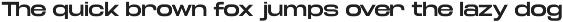TRT Fluke Expanded Modern Sans Serif preview