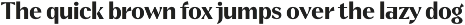 Kifah, Stylish Contrast Sans Font preview