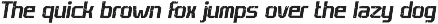 Champion Athletic - Sport Font preview
