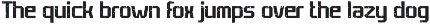 Champion Athletic - Sport Font preview