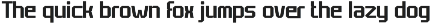 Champion Athletic - Sport Font preview