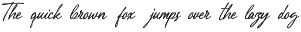 Peftyon Elegant Signature Script preview