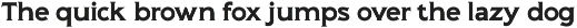 Pluribus - Serif font family preview