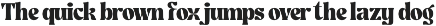 Ghadir, Botanical Display Font preview