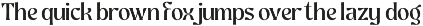 Ghadir, Botanical Display Font preview