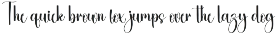 Stylish Signature preview