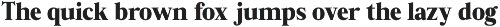 Zafira Serif preview