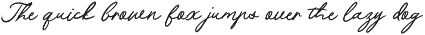 Frosted Lines - Rough Bold Script preview