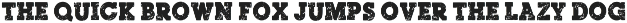 Norton Vintage College Font preview