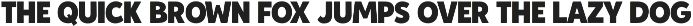 Antique Atelier - A Font Duo preview
