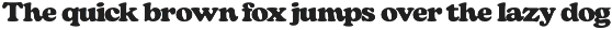 Barnes Retro Serif preview