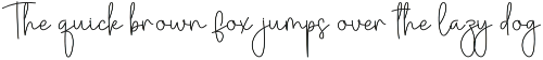 Saturday Holiday | Script Font preview